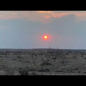 Meet your Posher, Lynnae